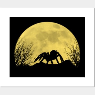 Spider tarantula under the moon Posters and Art